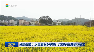 马尾琅岐：尽享春日好时光 700多亩油菜花盛放 