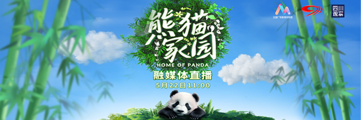 《熊猫家园》融媒体直播
