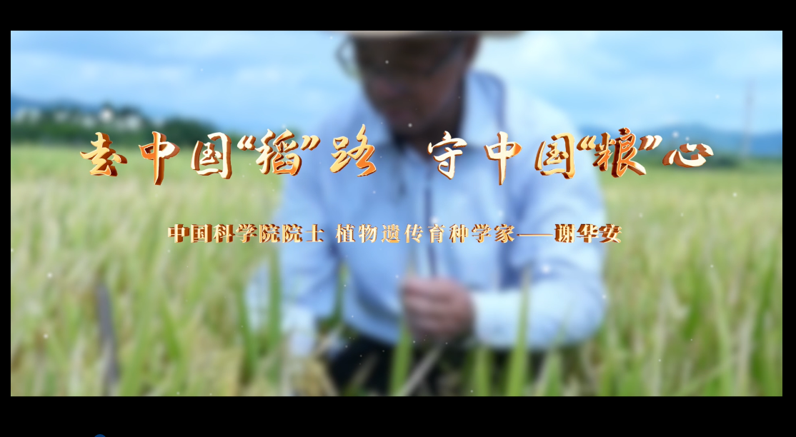 图片加载失败……