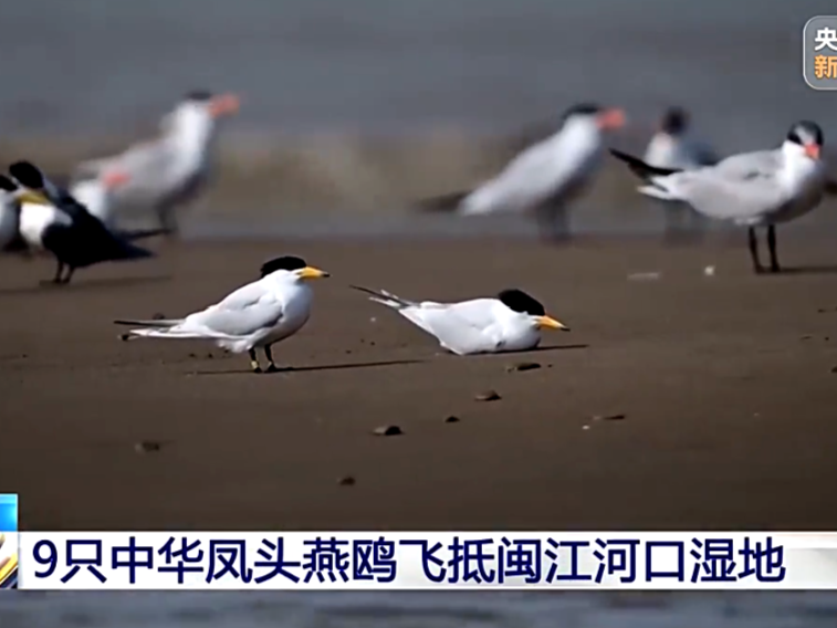 图片加载失败……