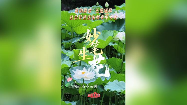 图片加载失败……