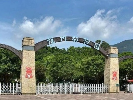 图片加载失败……