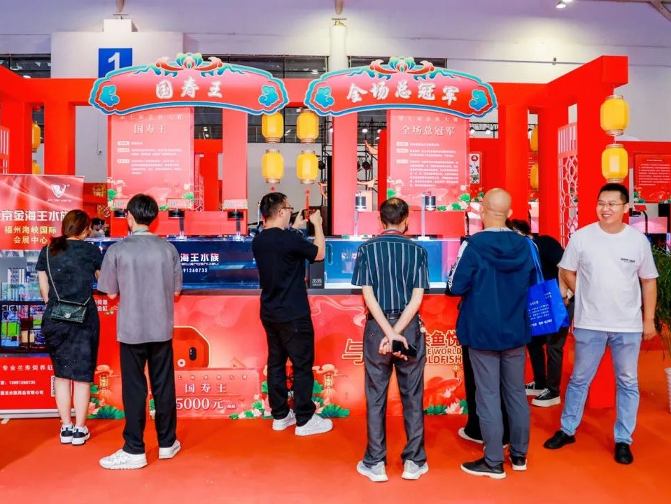 图片加载失败……
