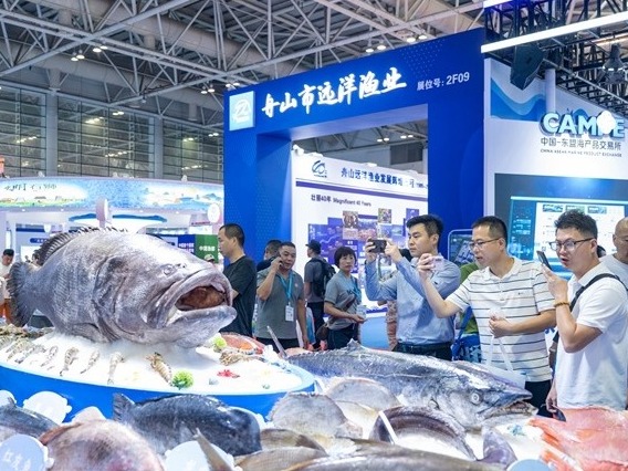 图片加载失败……