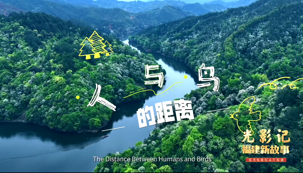 图片加载失败……