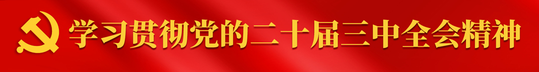 學(xué)習(xí)貫徹黨的二十屆三中全會精神