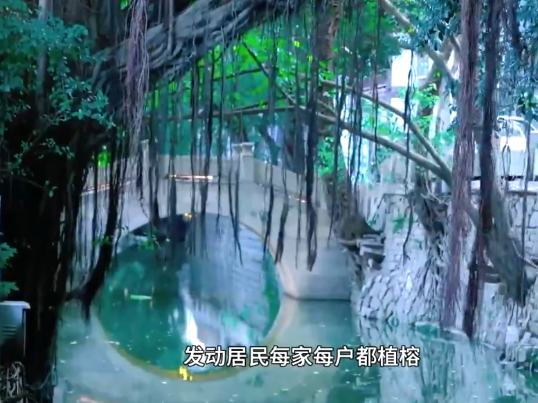 图片加载失败……