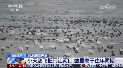 图片加载失败……