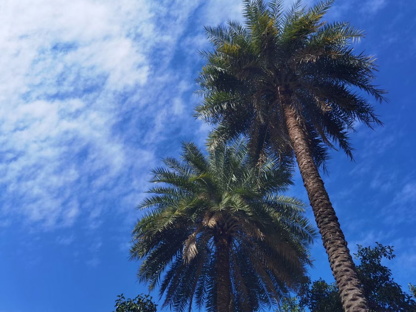 图片加载失败……