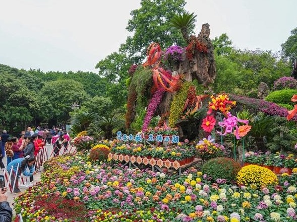 图片加载失败……