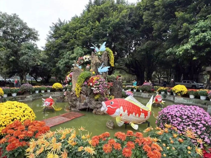 图片加载失败……