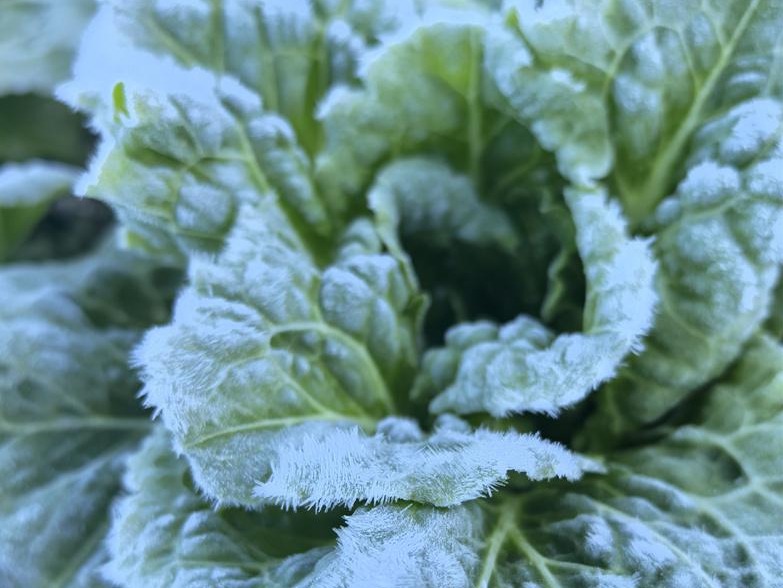 圖片加載失敗……