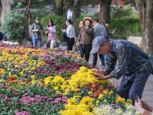 图片加载失败……