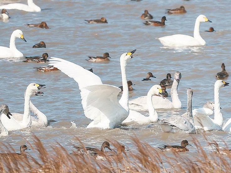 图片加载失败……