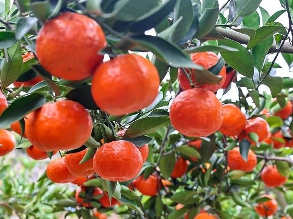 图片加载失败……