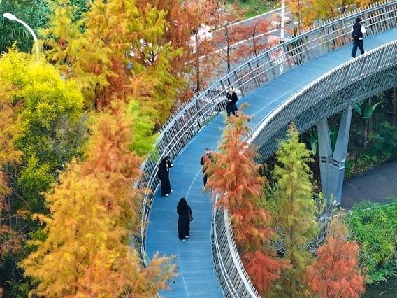 图片加载失败……