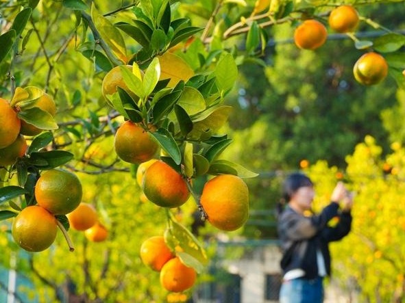 图片加载失败……