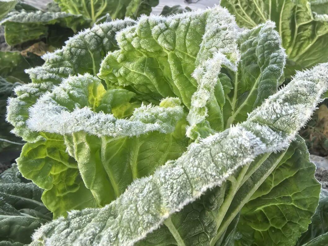 图片加载失败……