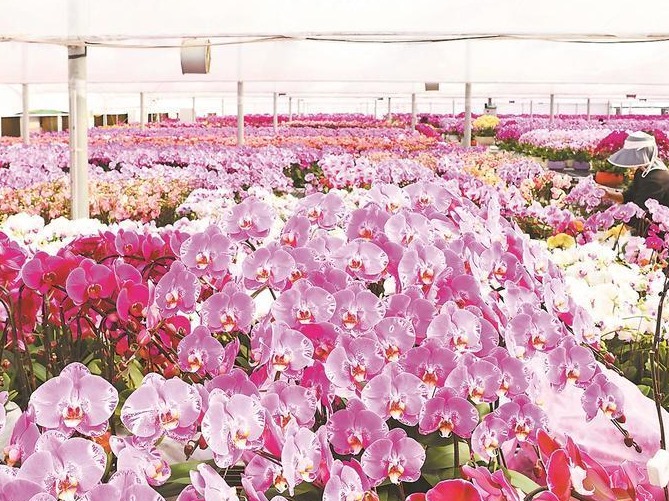 图片加载失败……