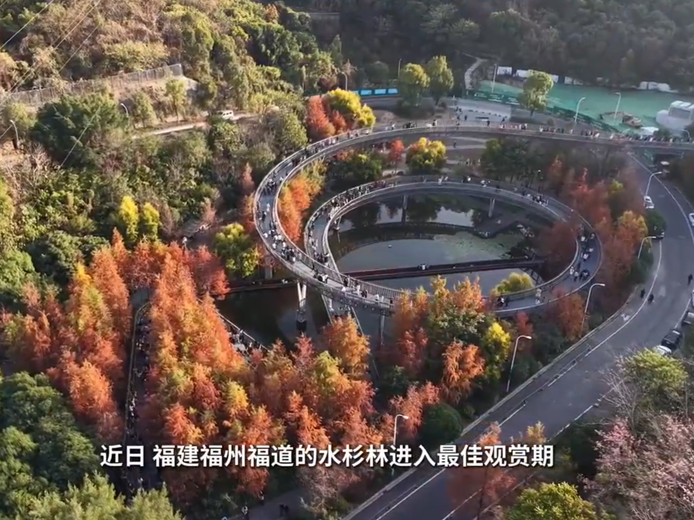 图片加载失败……