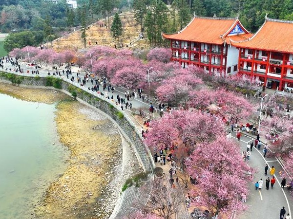 图片加载失败……