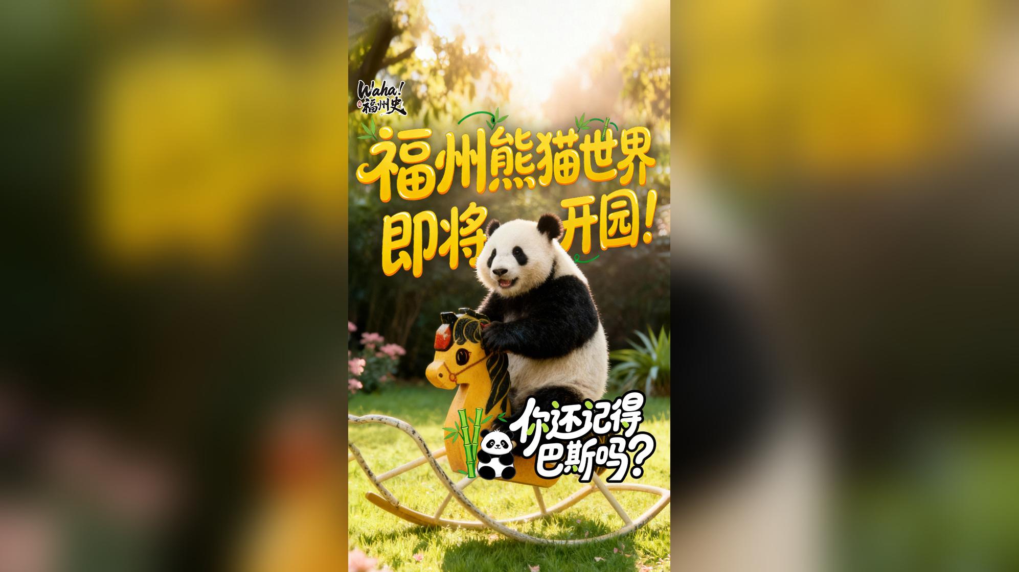 图片加载失败……