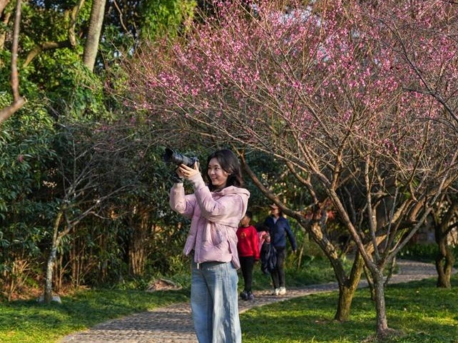 图片加载失败……