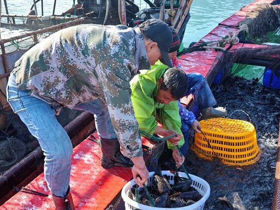 图片加载失败……