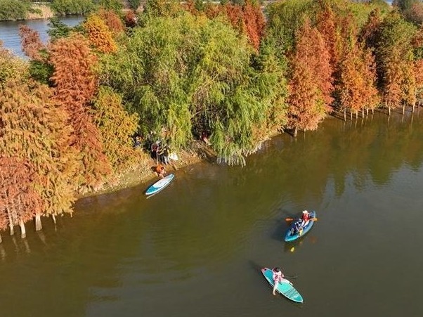 图片加载失败……