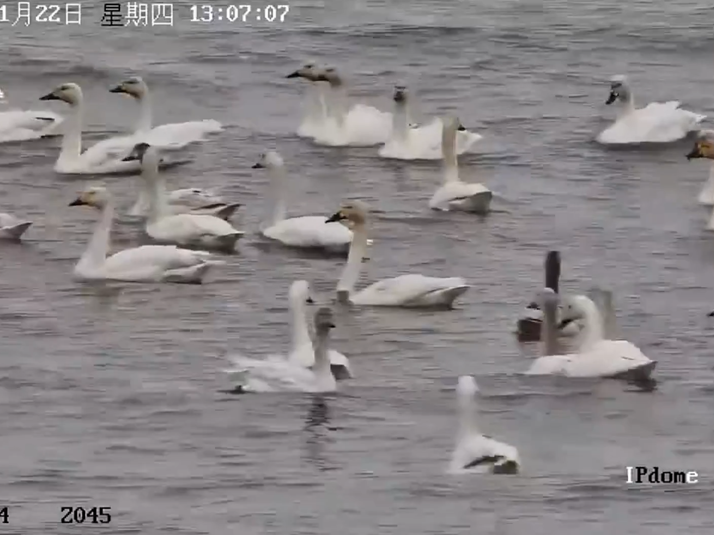 图片加载失败……