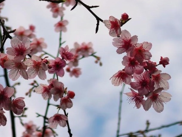 图片加载失败……