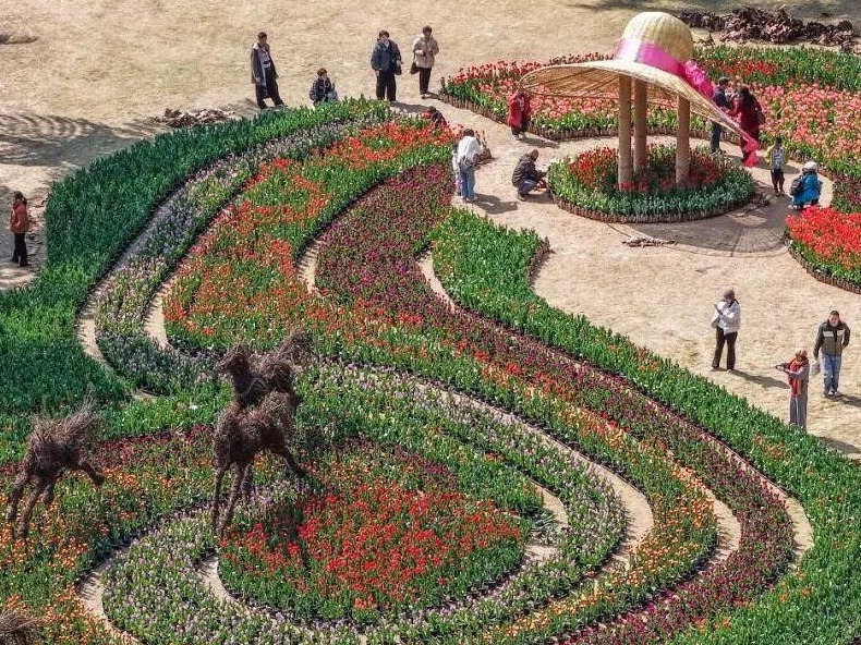 图片加载失败……