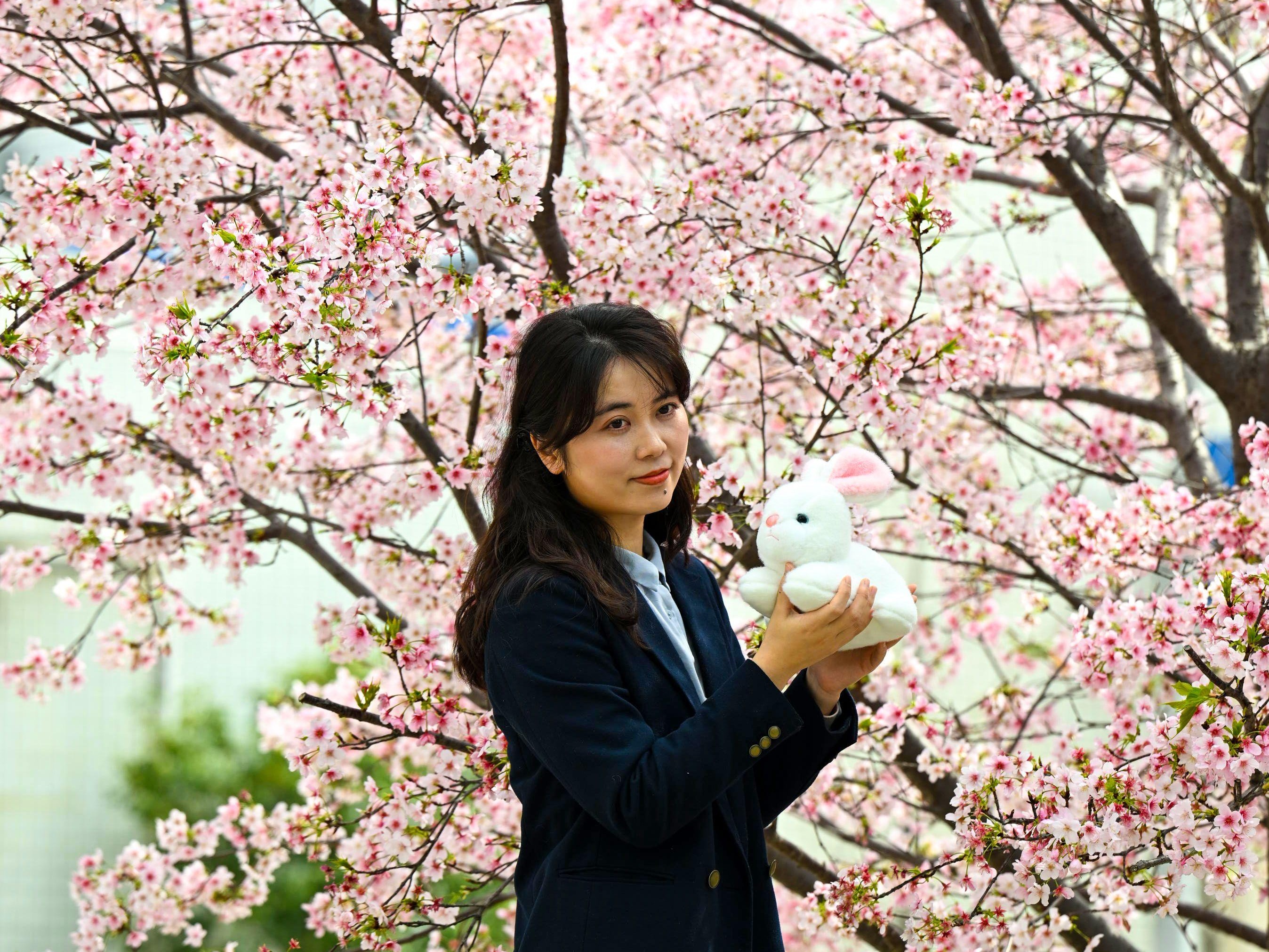 图片加载失败……