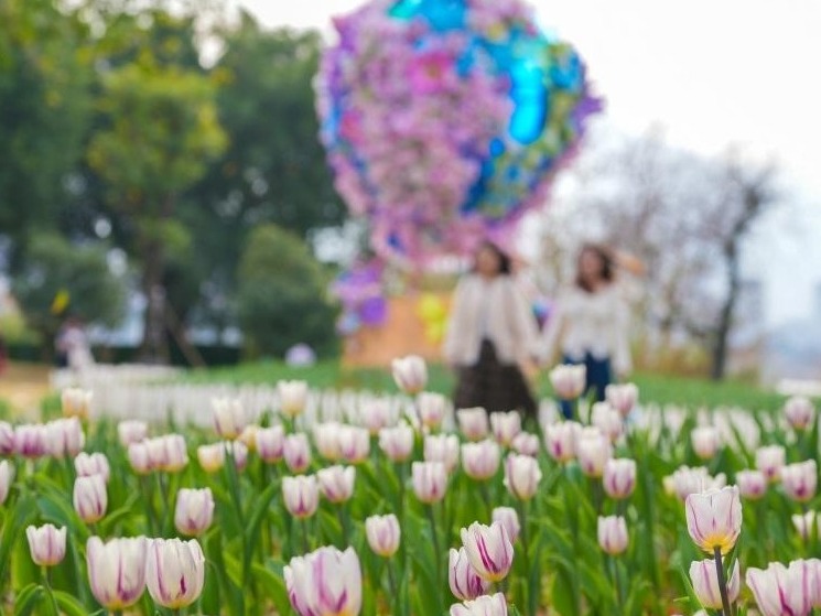 图片加载失败……