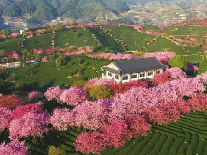 图片加载失败……