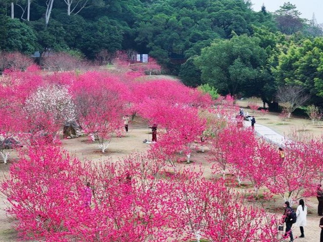 图片加载失败……