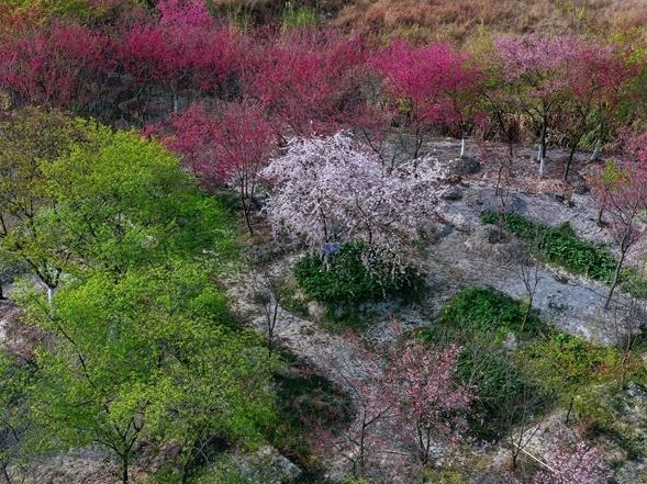 图片加载失败……