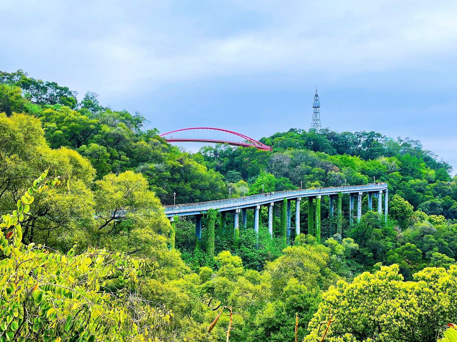 图片加载失败……