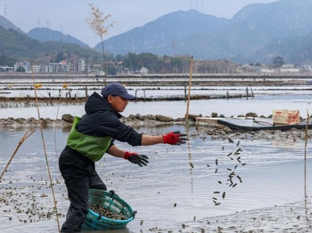 图片加载失败……
