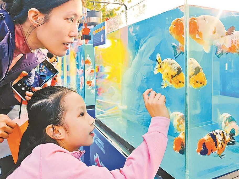 图片加载失败……