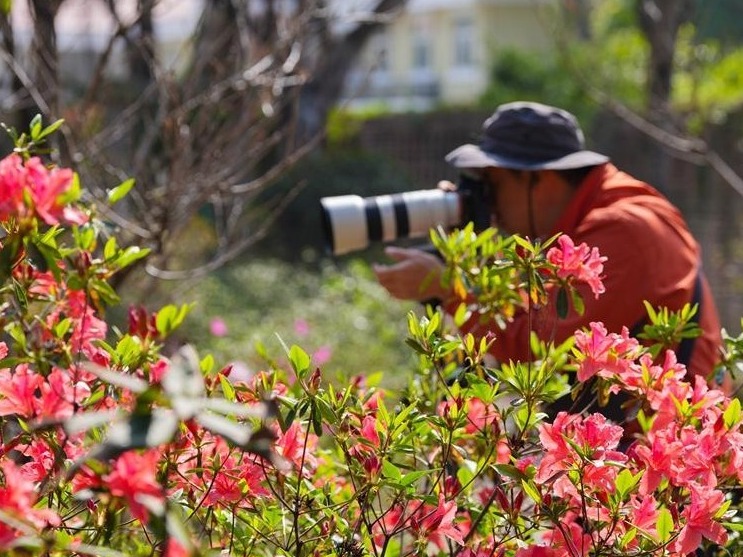 图片加载失败……