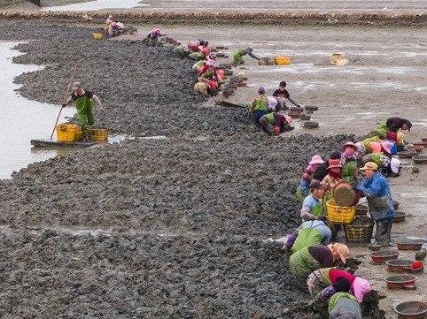 图片加载失败……