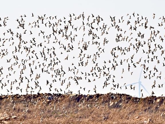 图片加载失败……