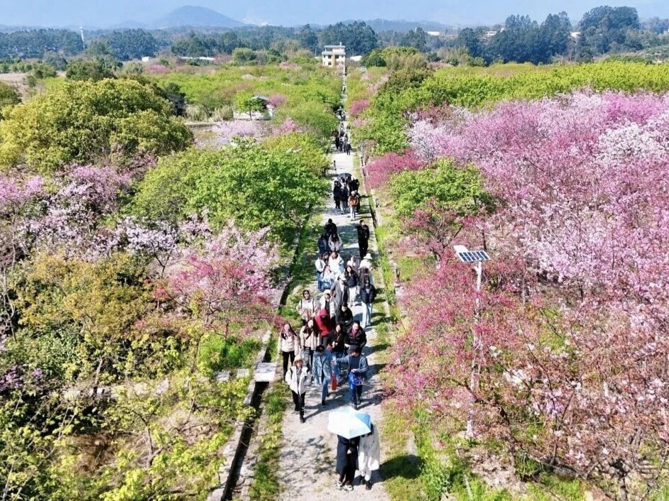 图片加载失败……