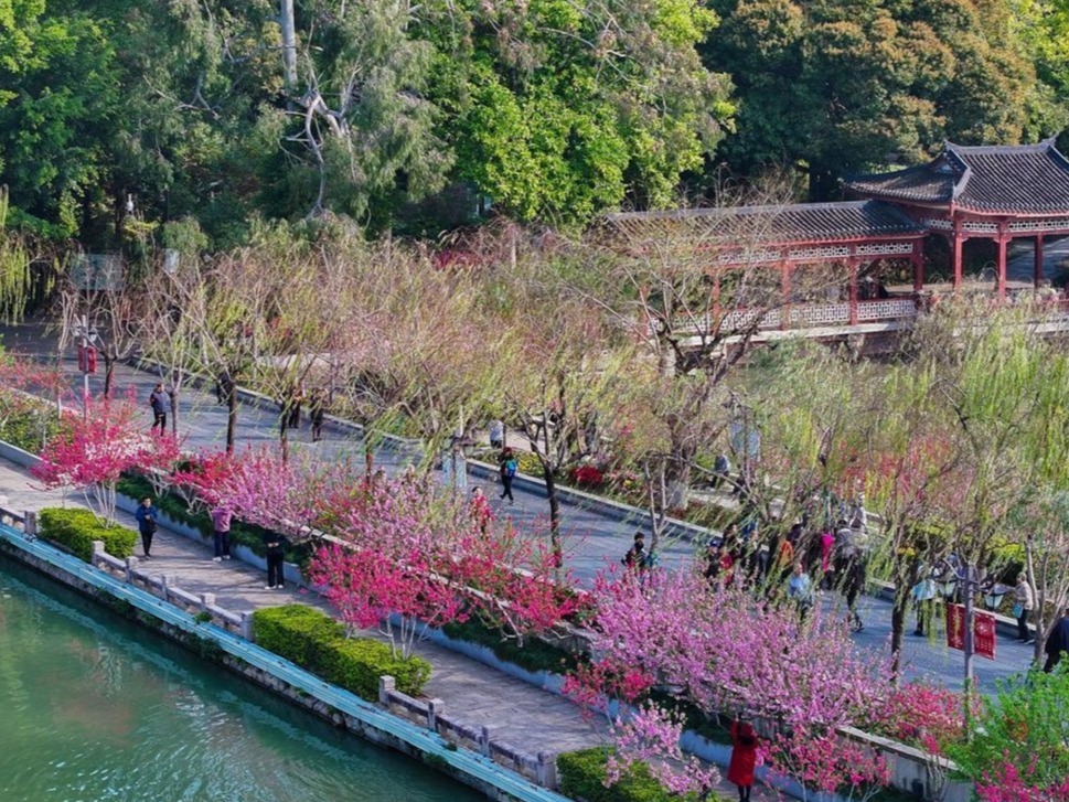 图片加载失败……