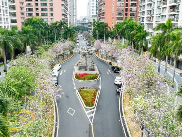 图片加载失败……