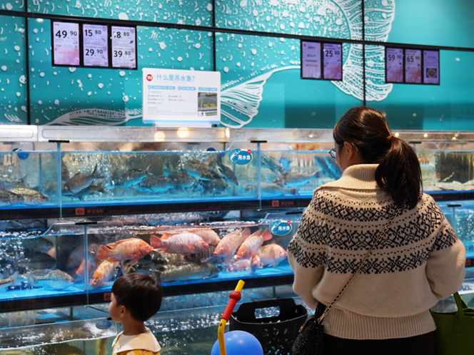 图片加载失败……