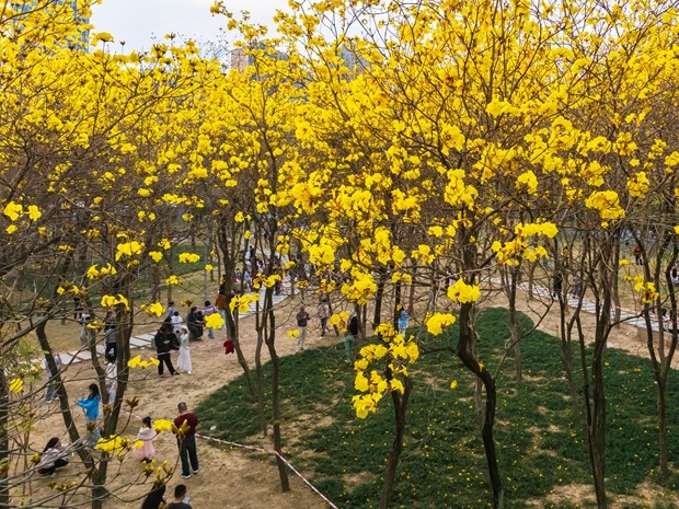 图片加载失败……