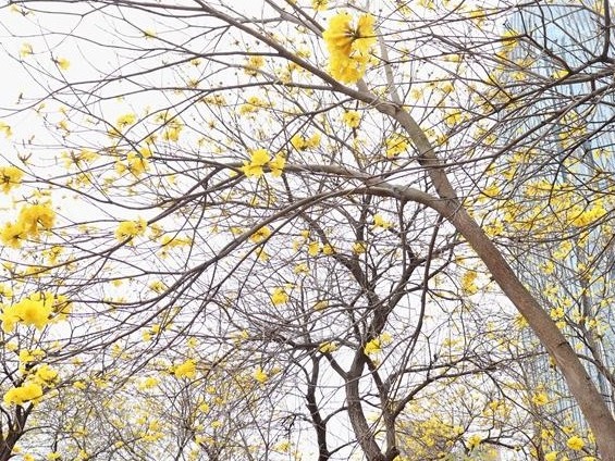 图片加载失败……