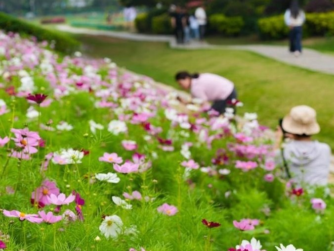 图片加载失败……